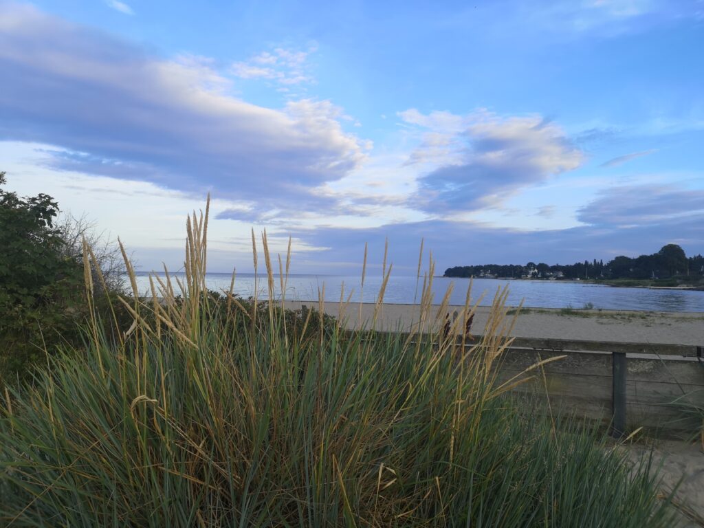 Gratis meditation og MariaHealing, der hvor du er – lørdag 02.08.2025